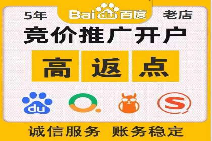 竞价端口开户后的广告投放策略案例